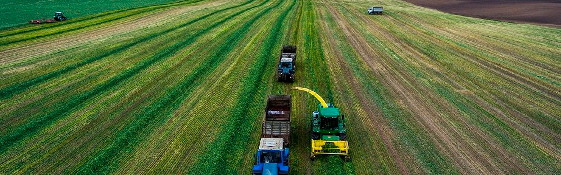 БіоСіл унікальний продукт для органічного тваринництва: